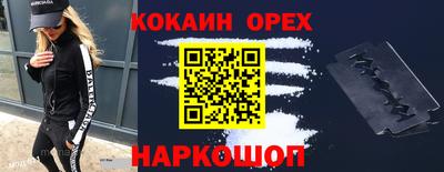СК Бердск