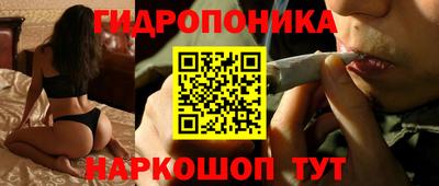 СК Бердск