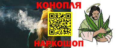 СК Бердск