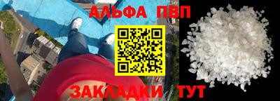 СК Бердск