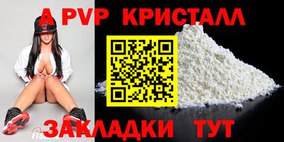 СК Бердск