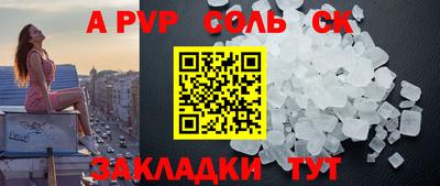 СК Бердск