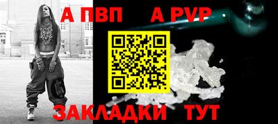 СК Бердск