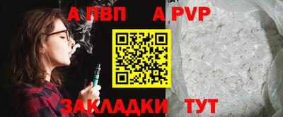 СК Бердск
