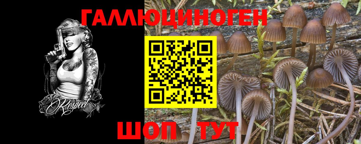 Галлюциногенные грибы Psilocybe  Вход с VPN  Жигулёвск 